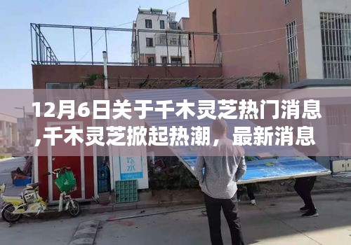 政企行業(yè)數(shù)字化軟件 第206頁