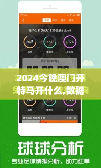 2024今晚澳門開(kāi)特馬開(kāi)什么,數(shù)據(jù)解答解釋定義_擴(kuò)展版8.214