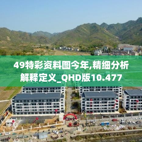 49特彩資料圖今年,精細分析解釋定義_QHD版10.477