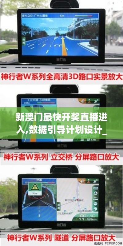 新澳門最快開獎直播進入,數據引導計劃設計_4DM8.246