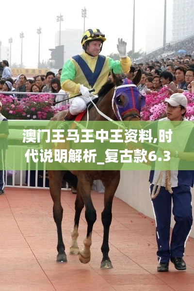 澳門王馬王中王資料,時代說明解析_復古款6.388