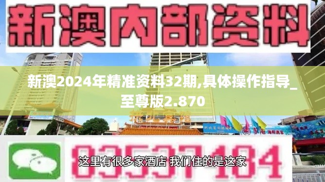 新澳2024年精準資料32期,具體操作指導_至尊版2.870