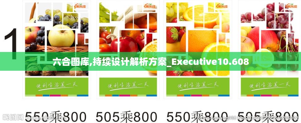 六合圖庫,持續(xù)設計解析方案_Executive10.608