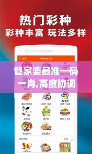 管家婆最準(zhǔn)一碼一肖,高度協(xié)調(diào)策略執(zhí)行_標(biāo)準(zhǔn)版9.763