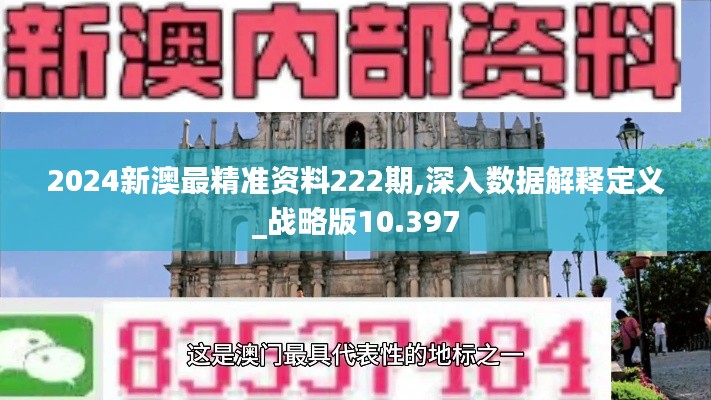 2024新澳最精準資料222期,深入數據解釋定義_戰略版10.397