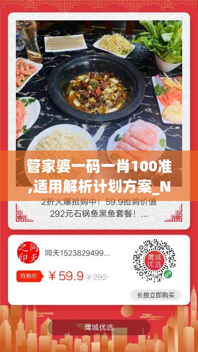 管家婆一碼一肖100準,適用解析計劃方案_N版7.292