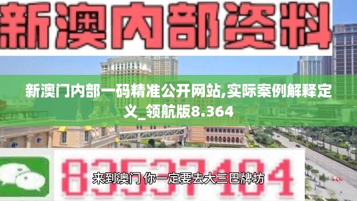 新澳門內部一碼精準公開網站,實際案例解釋定義_領航版8.364