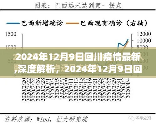 深度解析，2024年12月9日回川疫情最新進(jìn)展報(bào)告