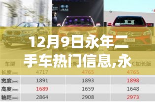 揭秘永年二手車市場最新動向，熱門高科技二手車發(fā)布及新動向解析