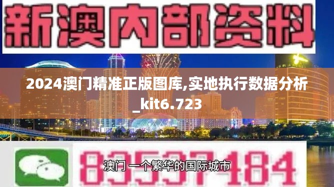 2024澳門精準正版圖庫,實地執行數據分析_kit6.723