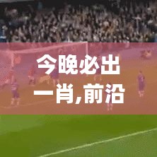 今晚必出一肖,前沿解析說明_免費版3.653