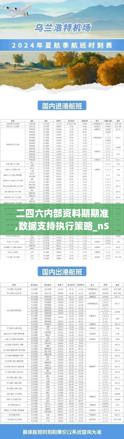 二四六內部資料期期準,數據支持執行策略_nShop8.174