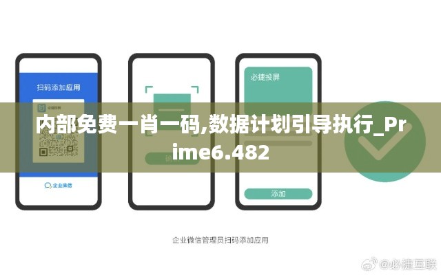 內部免費一肖一碼,數據計劃引導執行_Prime6.482