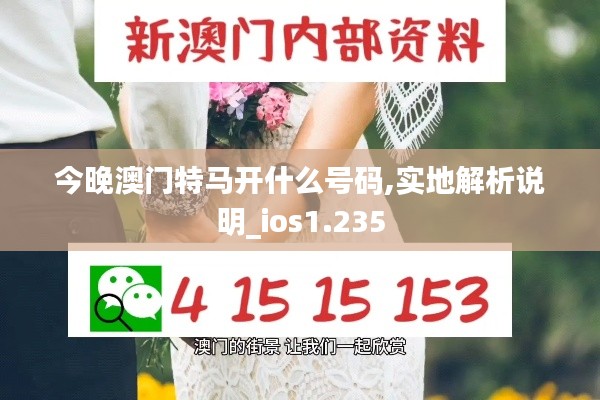 今晚澳門特馬開什么號碼,實(shí)地解析說明_ios1.235