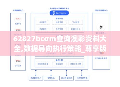 62827bcσm查詢澳彩資料大全,數(shù)據(jù)導向執(zhí)行策略_尊享版6.795