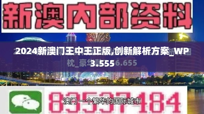 2024新澳門王中王正版,創新解析方案_WP3.555