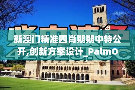 新澳門精準四肖期期中特公開,創(chuàng)新方案設(shè)計_PalmOS6.974