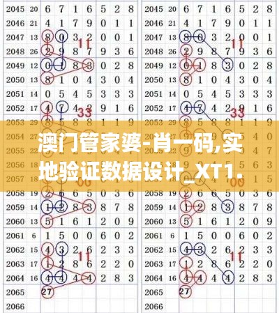 澳門管家婆-肖一碼,實地驗證數據設計_XT1.283