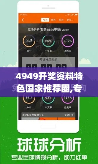 4949開獎資料特色國家推薦圈,專業(yè)執(zhí)行解答_3DM10.108