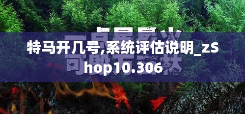 系統評估說明