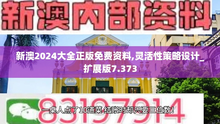 新澳2024大全正版免費資料,靈活性策略設計_擴展版7.373