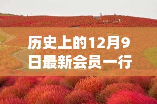 探尋自然美景之旅，12月9日啟程，尋找內(nèi)心的桃花源新會員專享之旅