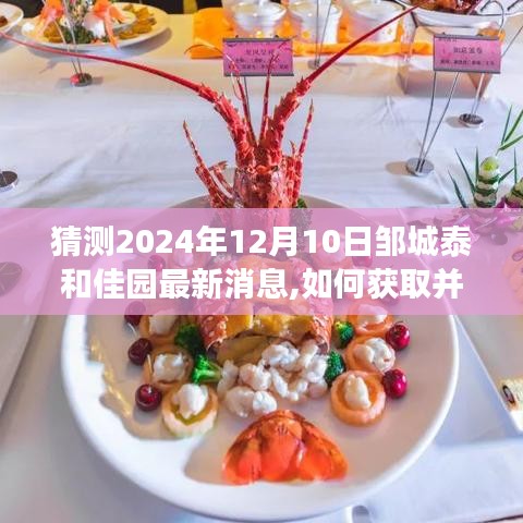 2024年鄒城泰和佳園最新消息解析，獲取與解讀指南（初學者與進階用戶適用）
