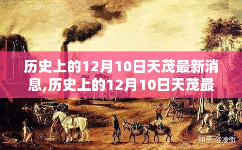 歷史上的12月10日天茂最新消息詳解，步驟指南與最新動(dòng)態(tài)