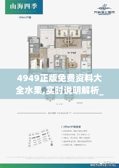 4949正版免費資料大全水果,實時說明解析_soft3.632