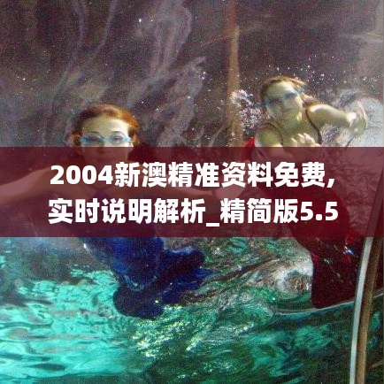 實時說明解析
