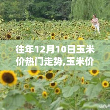 關于我們 第177頁