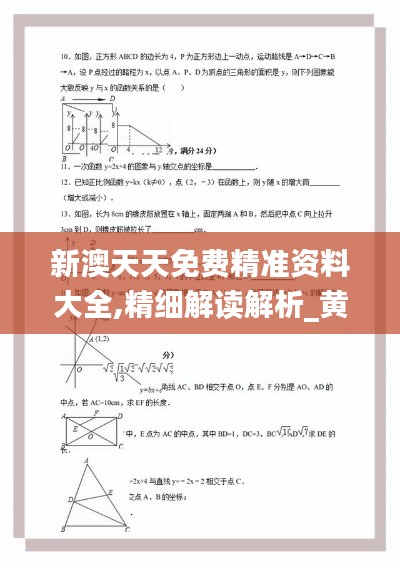 新澳天天免費精準資料大全,精細解讀解析_黃金版12.532