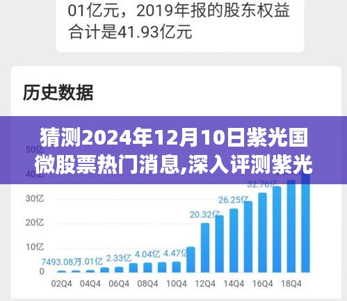 紫光國微股票前景深度分析，熱門消息及預測（2024年12月10日）