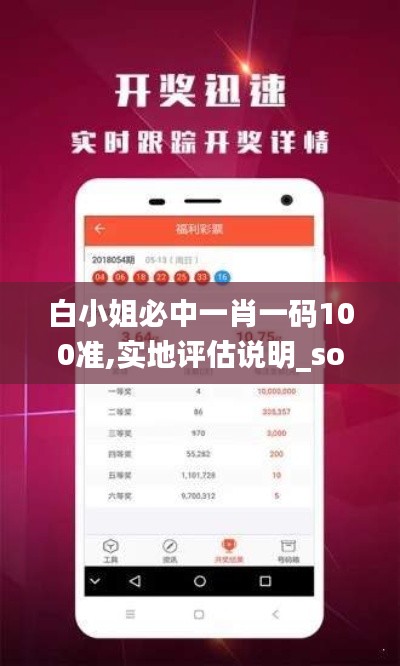 白小姐必中一肖一碼100準,實地評估說明_soft1.107