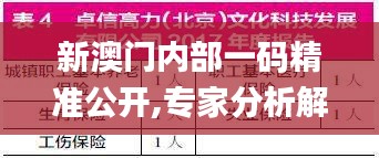 新澳門內部一碼精準公開,專家分析解釋定義_投資版8.446