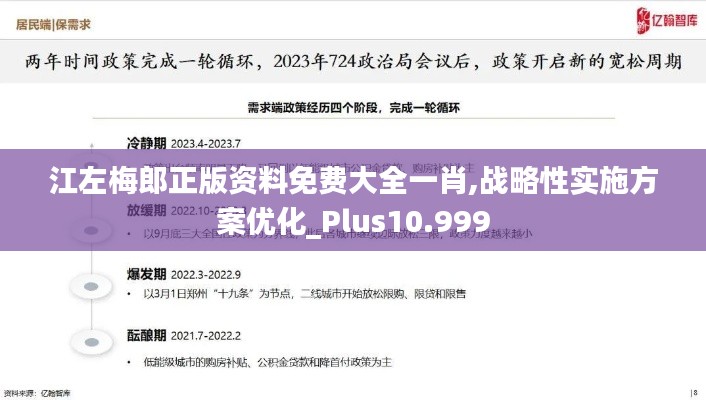 江左梅郎正版資料免費大全一肖,戰(zhàn)略性實施方案優(yōu)化_Plus10.999