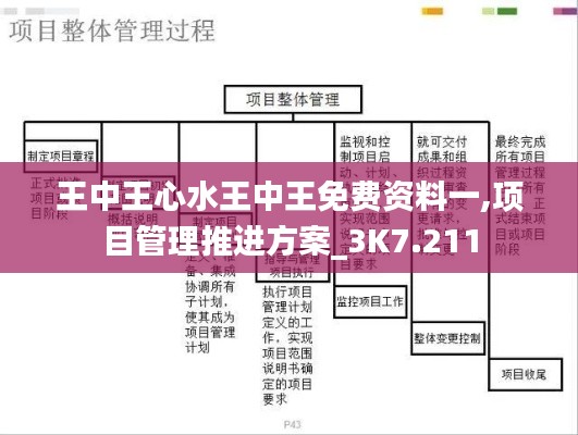 項目管理推進方案