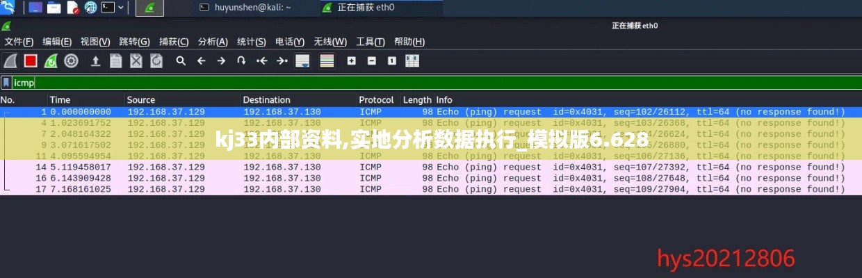 kj33內(nèi)部資料,實地分析數(shù)據(jù)執(zhí)行_模擬版6.628