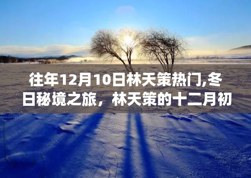 林天策的奇跡，冬日秘境之旅的十二月初熱潮