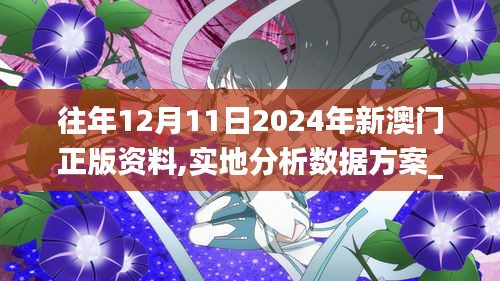 往年12月11日2024年新澳門正版資料,實地分析數(shù)據(jù)方案_桌面版3.712