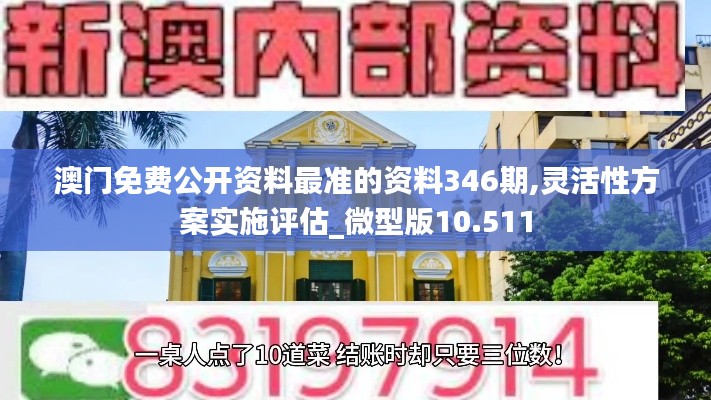 微型版