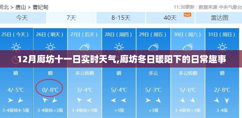 廊坊十二月份十一日實(shí)時天氣，冬日暖陽下的日常趣事