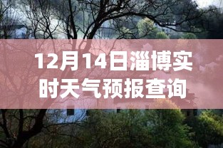 淄博探秘，小巷深處的天氣驛站——實時天氣預報查詢之旅（12月14日）