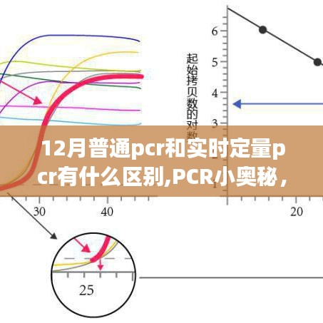 普通PCR與實時定量PCR的奇妙差異，揭秘PCR小奧秘的旅程