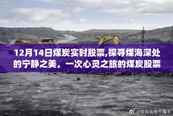 探尋煤海深處的寧靜之美，煤炭股票的心靈之旅（實時行情分析）