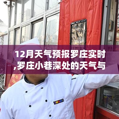 羅莊天氣預(yù)報(bào)及小巷美食探秘，品味獨(dú)特風(fēng)味小店