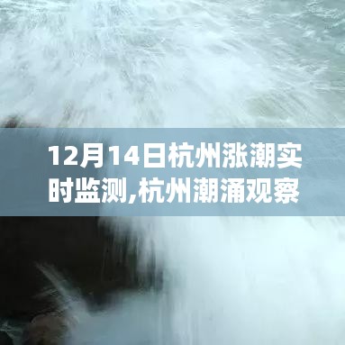 揭秘杭州潮涌背后的故事，十二月十四日漲潮實時監(jiān)測觀察報告