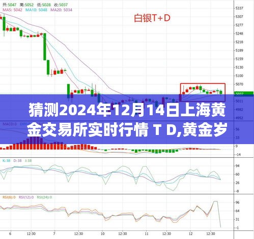 揭秘上海黃金交易所行情，黃金歲月與一家人的日常