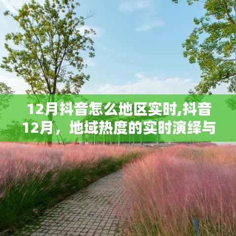 抖音12月地域熱度實時演繹，數字時代的印記與趨勢分析