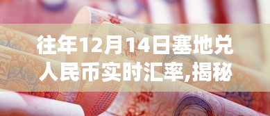 揭秘，往年12月14日塞地兌人民幣實時匯率詳解